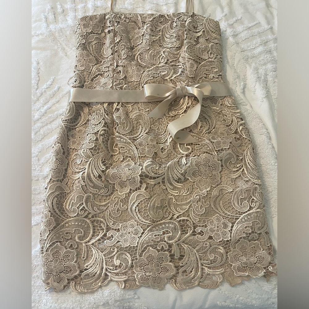 Adrianna Papell Champagne Lace Cocktail Dress